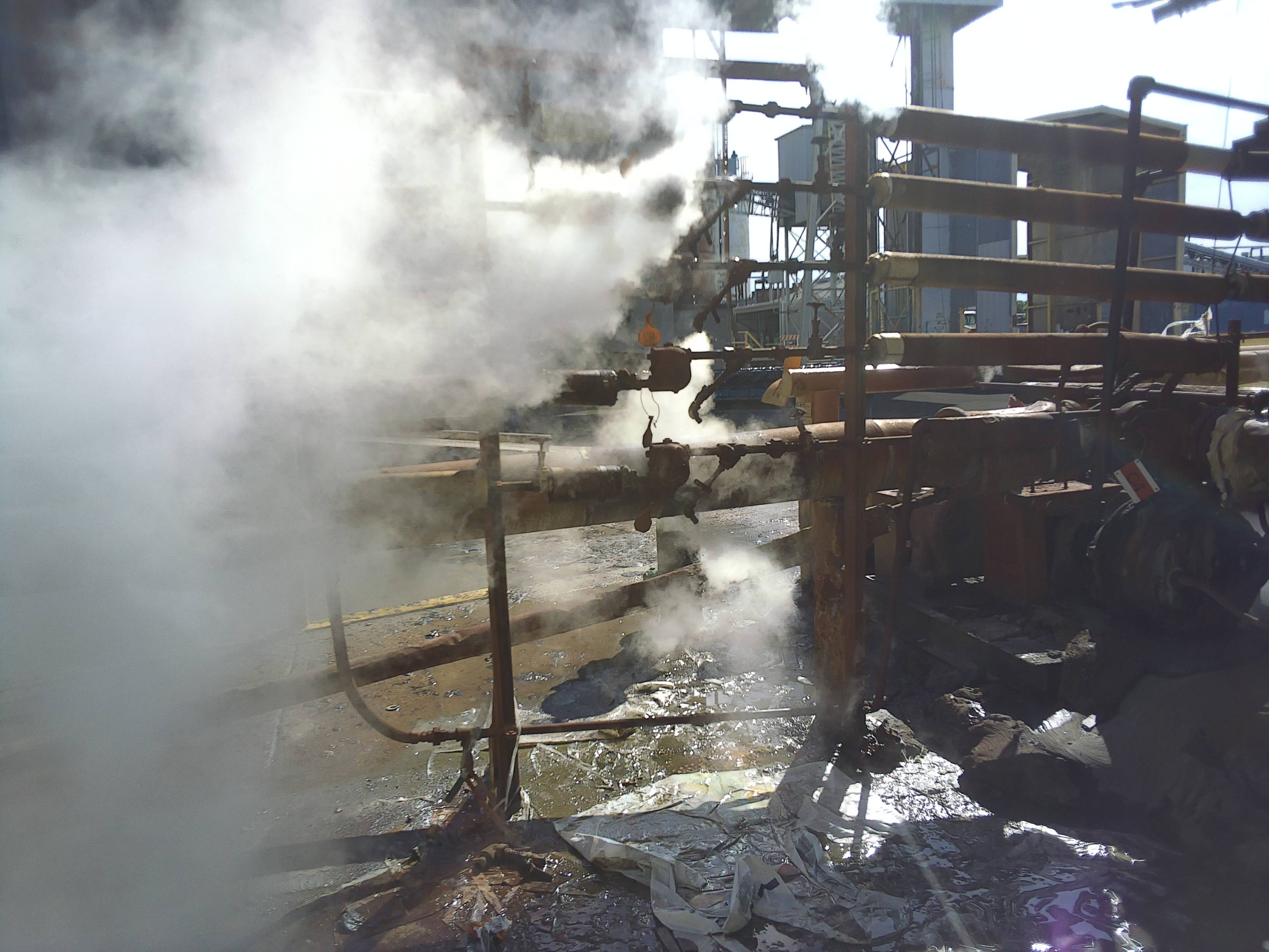 VIS: Ref 100032 - VIS